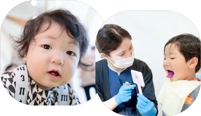 歯並びは、お口の使い方を映す鏡です